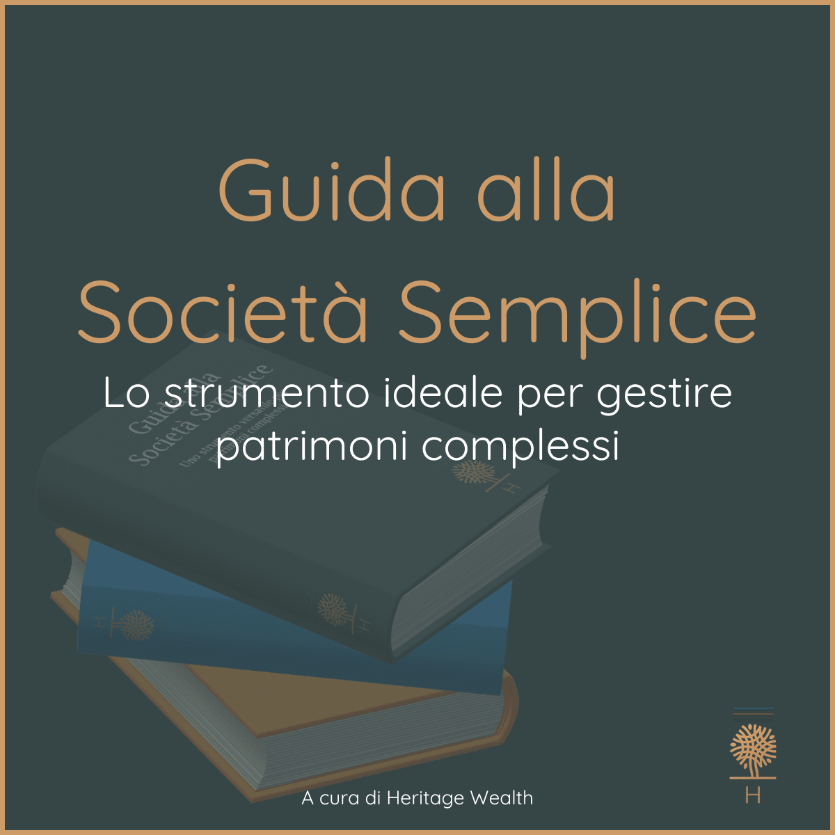 Guida alla Società Semplice